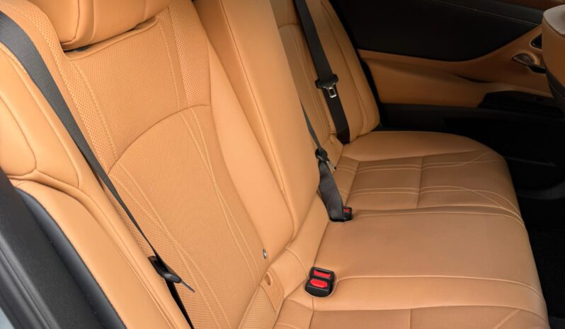 
								LEXUS ES300H full									