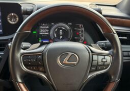 
										LEXUS ES300H full									