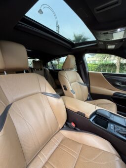 
										LEXUS ES500h LUXURY full									
