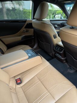 
										LEXUS ES500h LUXURY full									