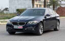 
										BMW 520d full									