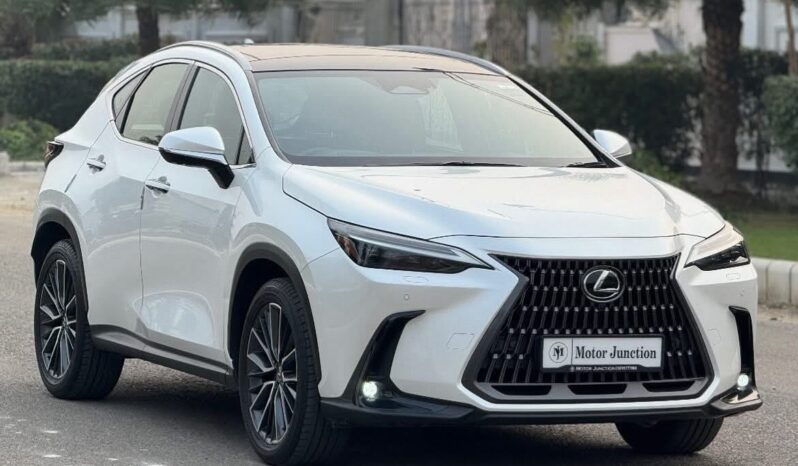 
								LEXUS NX350h full									