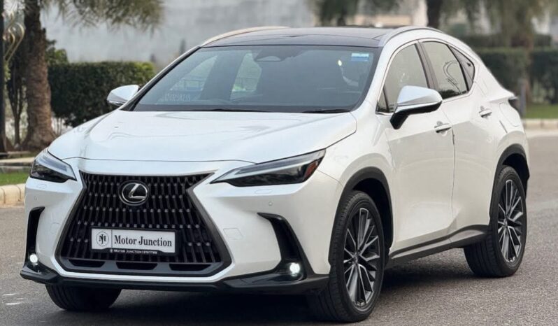 
								LEXUS NX350h full									