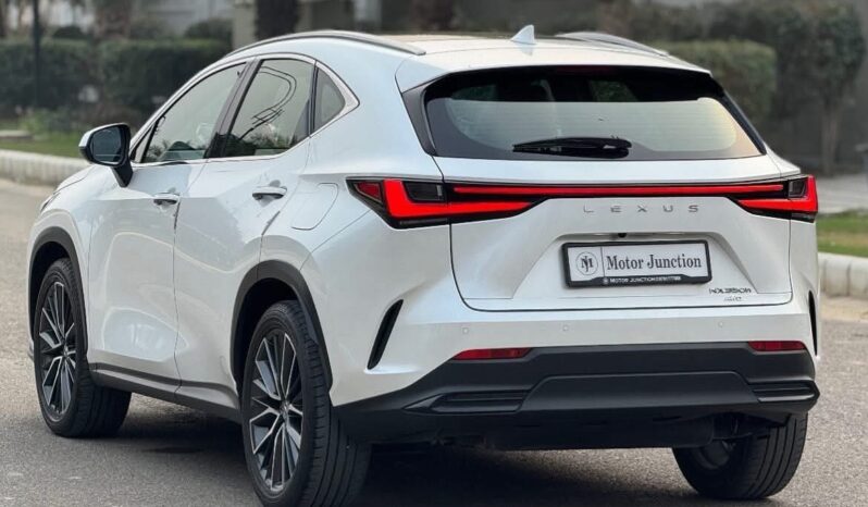 
								LEXUS NX350h full									